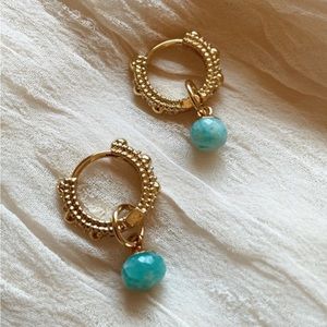 Euphoria Hoop Earrings